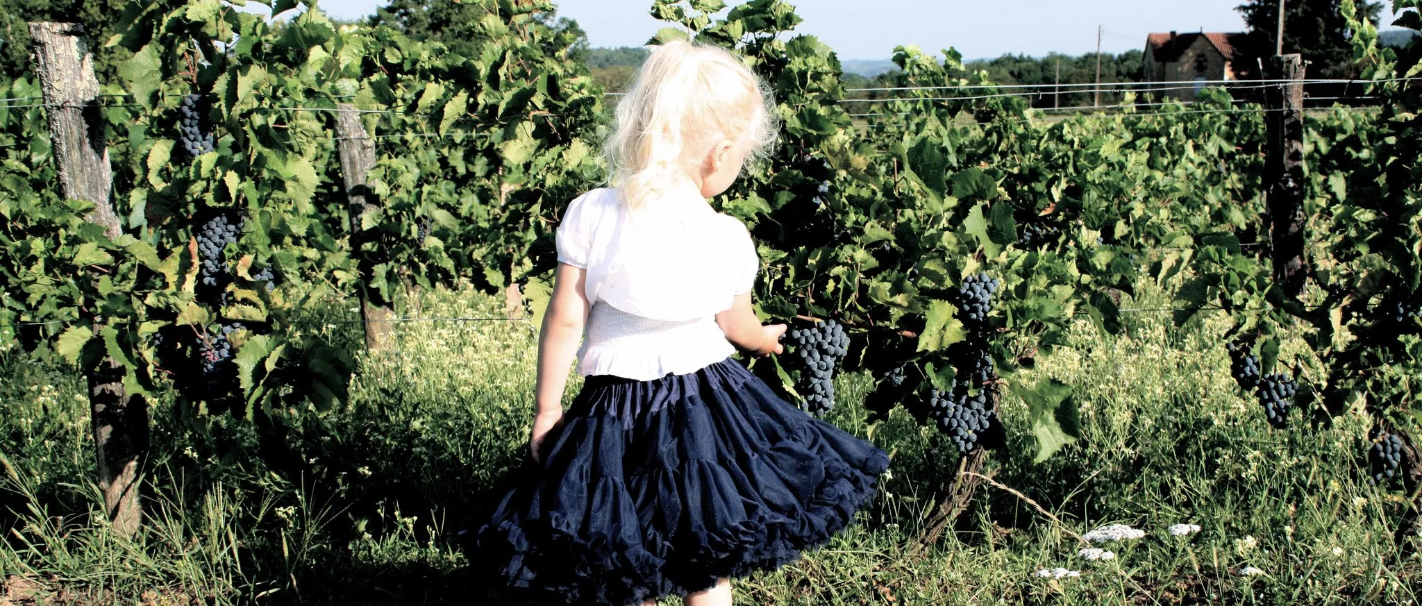 DOLLY by Le Petit Tom  SNOW QUEEN pettiskirt dark blue navy