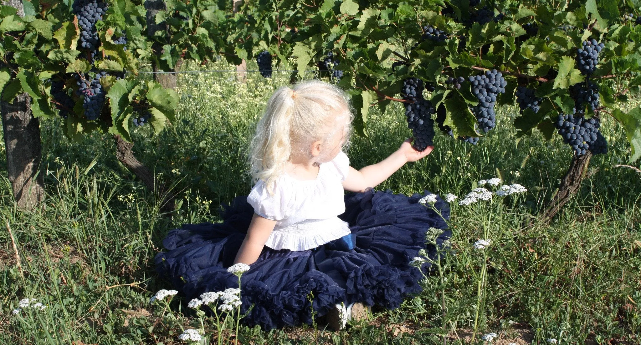 DOLLY by Le Petit Tom  SNOW QUEEN pettiskirt dark blue navy