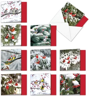 New Beautiful Birds in Snow Wearing Santa Hats Christmas Greeting Cards